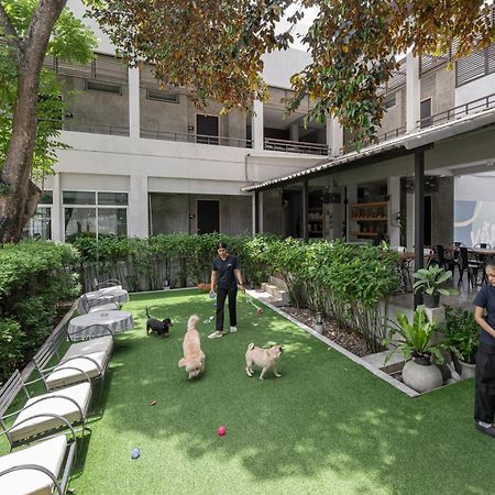 Ketawa Pet Friendly Hotel Chiang Mai Exteriör bild