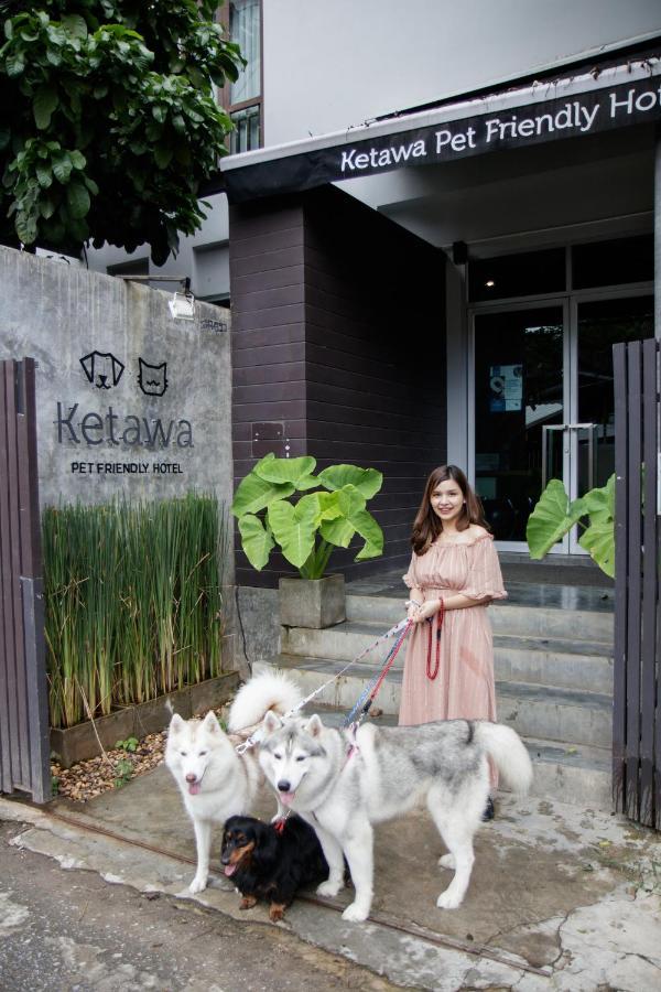 Ketawa Pet Friendly Hotel Chiang Mai Exteriör bild