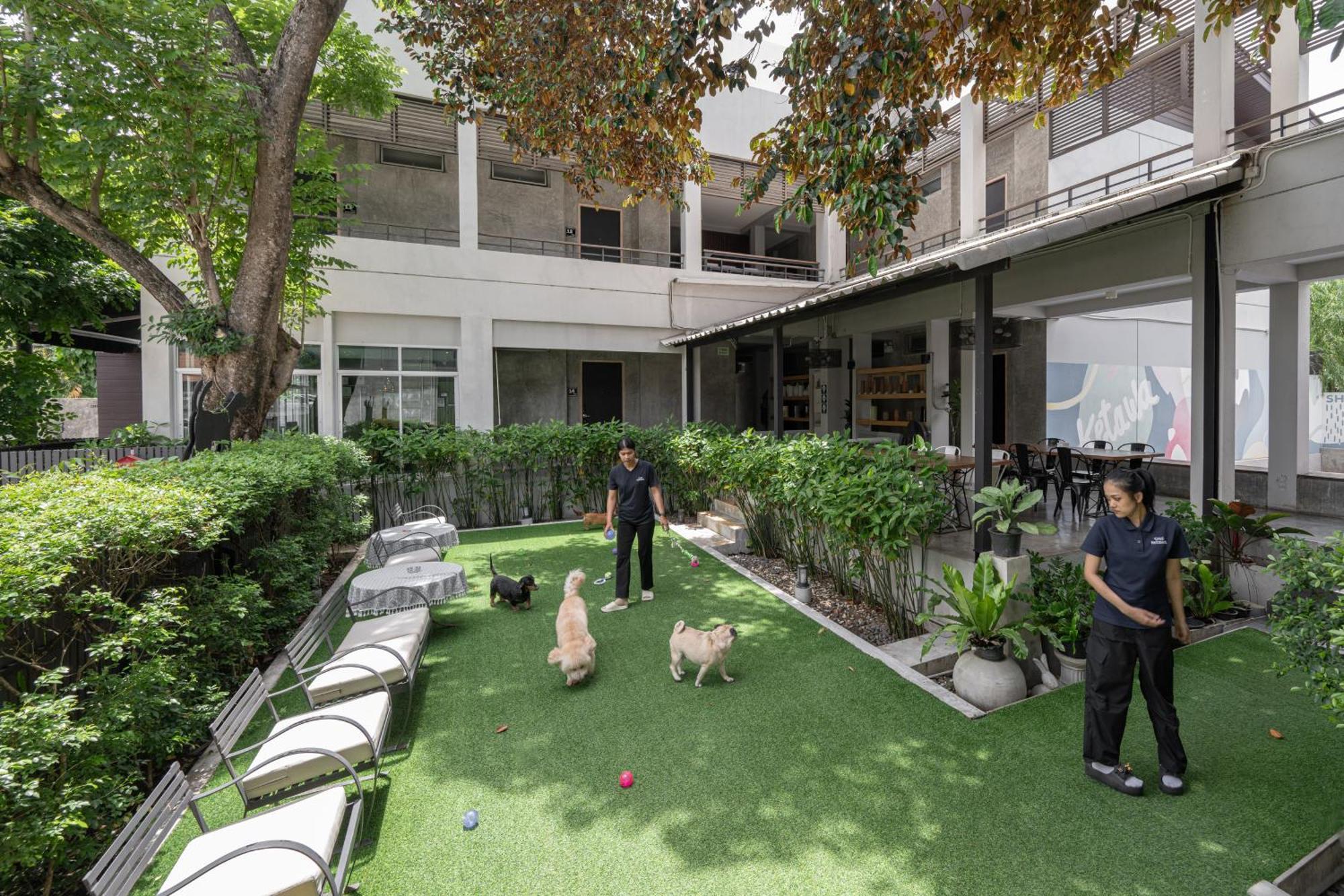 Ketawa Pet Friendly Hotel Chiang Mai Exteriör bild