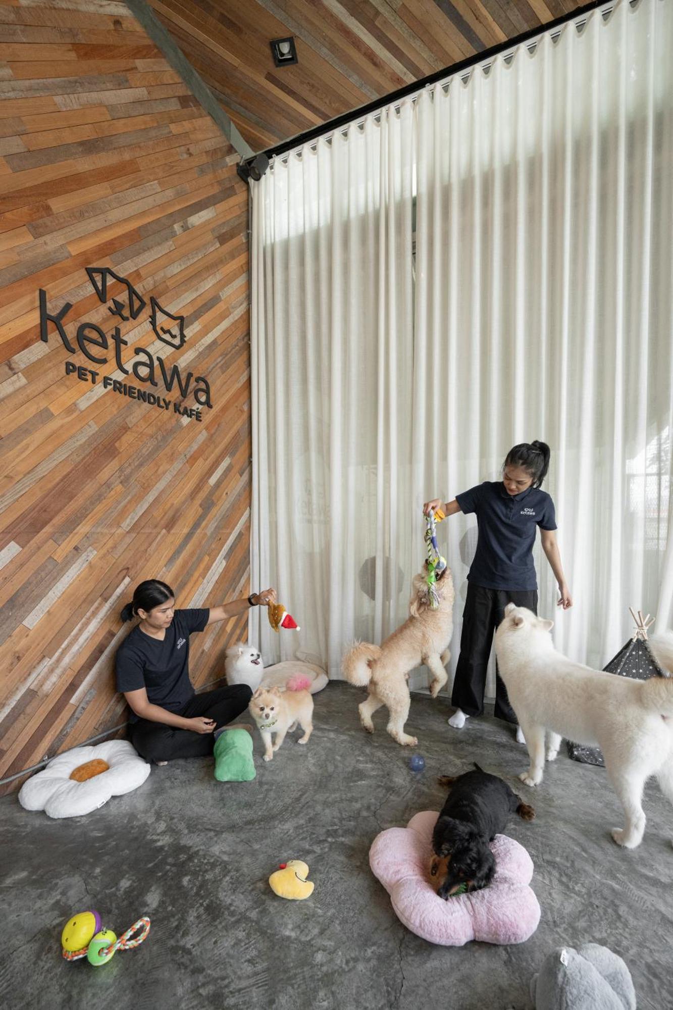 Ketawa Pet Friendly Hotel Chiang Mai Exteriör bild