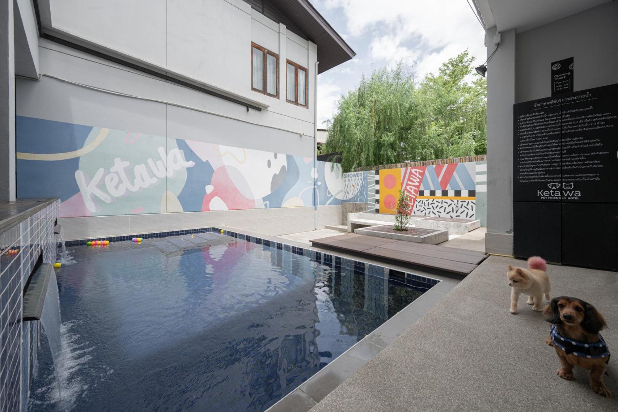 Ketawa Pet Friendly Hotel Chiang Mai Exteriör bild