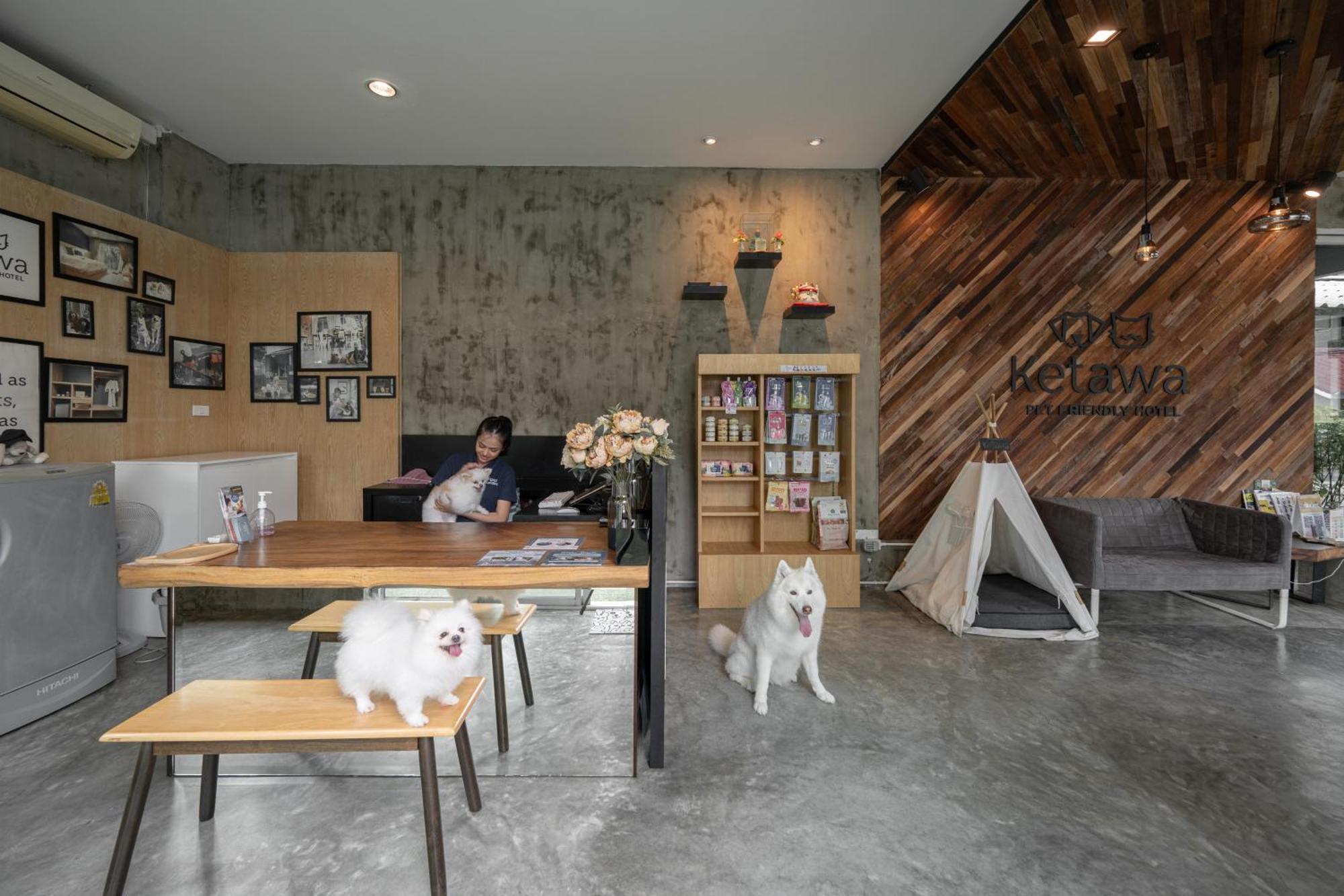 Ketawa Pet Friendly Hotel Chiang Mai Exteriör bild